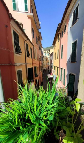 Il Balconcino sul carugio